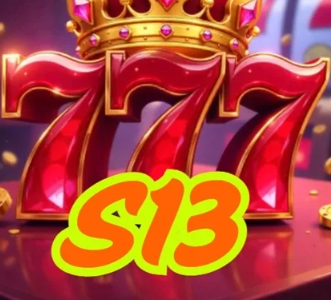 S13